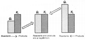 Plus One Chemistry Notes Chapter 7 Equilibrium 6