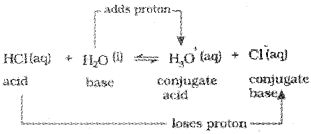 Plus One Chemistry Notes Chapter 7 Equilibrium 7