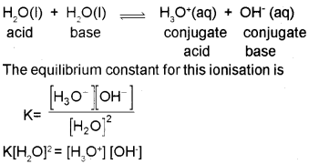 Plus One Chemistry Notes Chapter 7 Equilibrium 8