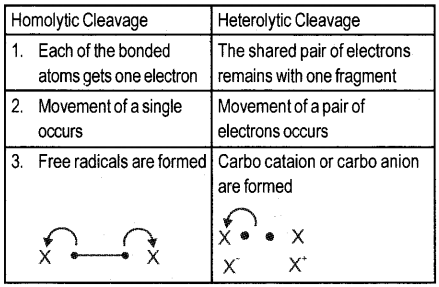 Plus One Chemistry Previous Year Question Paper March 2019, 3