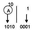 Plus One Computer Application Notes Chapter 1 Fundamentals of Computer 18