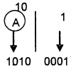 Plus One Computer Science Notes Chapter 2 Data Representation and Boolean Algebra 20