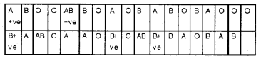 Plus One Economics Chapter Wise Previous Questions Chapter 13 Organisation of Data Q9