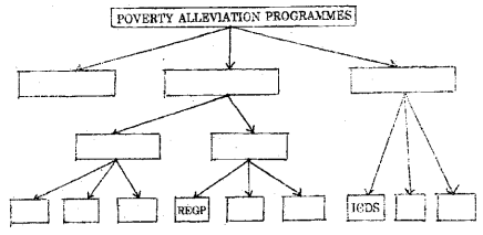 Plus One Economics Chapter Wise Previous Questions Chapter 4 Poverty Q7