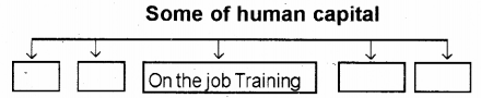 Plus One Economics Chapter Wise Previous Questions Chapter 5 Human Capital Formation in India Q13