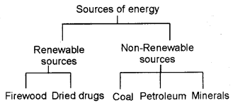 Plus One Economics Chapter Wise Previous Questions Chapter 8 Infrastructure Q3.1