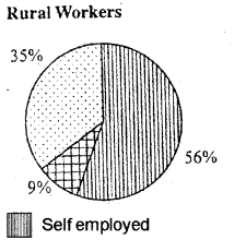 Plus One Economics Model Question Paper 1, 7