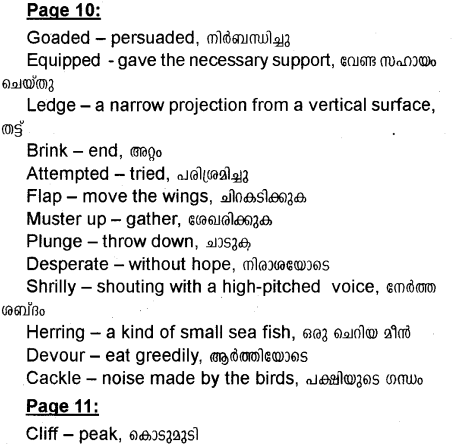 Plus One English Textbook Answers Unit 1 Chapter 1 His First Flight (Story) 5