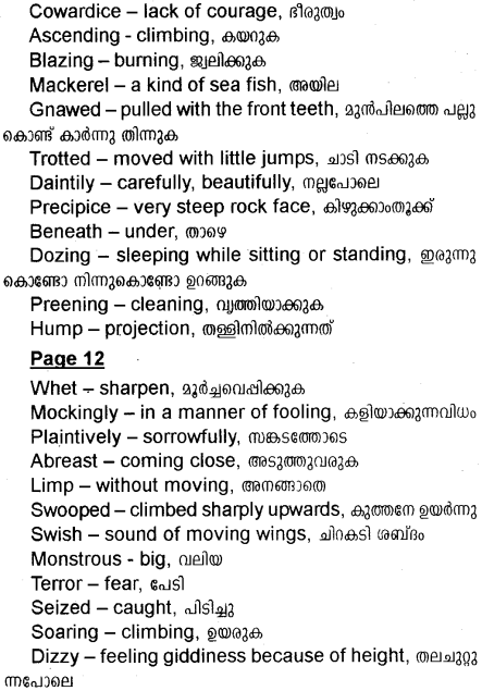 Plus One English Textbook Answers Unit 1 Chapter 1 His First Flight (Story) 6