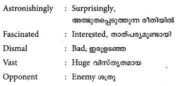 Plus One English Textbook Answers Unit 2 Chapter 1 And then Gandhi Came (Essay) 5