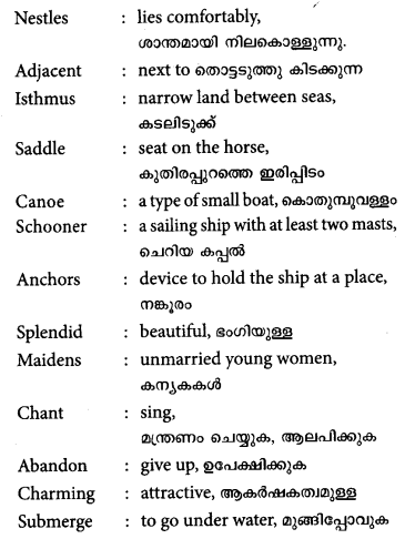 Plus One English Textbook Answers Unit 3 Chapter 3 The Sacred Turtles of Kadavu (Based on Fijian Legend) 1