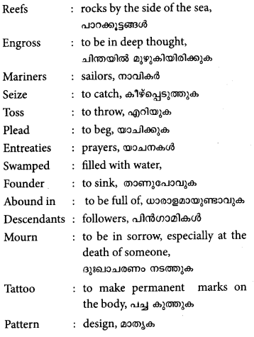 Plus One English Textbook Answers Unit 3 Chapter 3 The Sacred Turtles of Kadavu (Based on Fijian Legend) 2