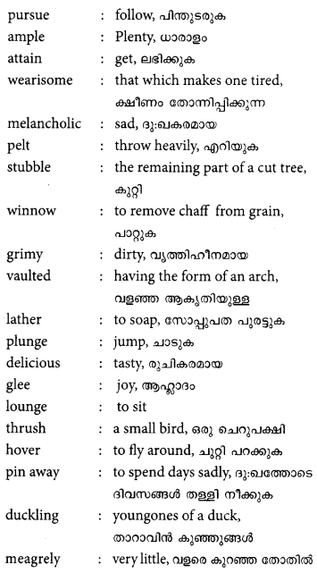 Plus One English Textbook Answers Unit 5 Chapter 1 Gooseberries (Story) 1