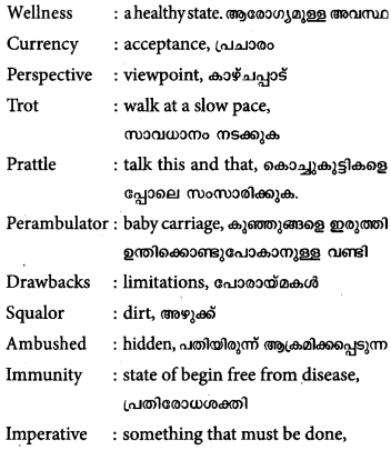 Plus One English Textbook Answers Unit 5 Chapter 3 Going Out for a Walk (Essay) 1