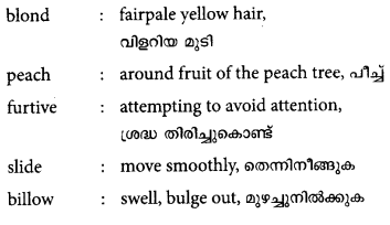 Plus One English Textbook Answers Unit 6 Chapter 3 Conceptual Fruit (Short Story) 3