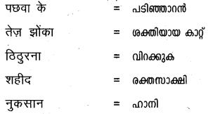 Plus One Hindi Textbook Answers Unit 3 Chapter 12 दुःख 24