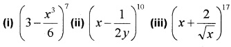 Plus One Maths Chapter Wise Questions and Answers Chapter 8 Binomial Theorem 3M Q1