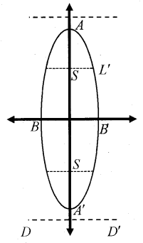 Plus One Maths Notes Chapter 11 Conic Sections 6