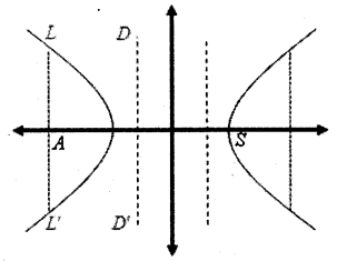 Plus One Maths Notes Chapter 11 Conic Sections 7