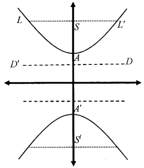 Plus One Maths Notes Chapter 11 Conic Sections 8