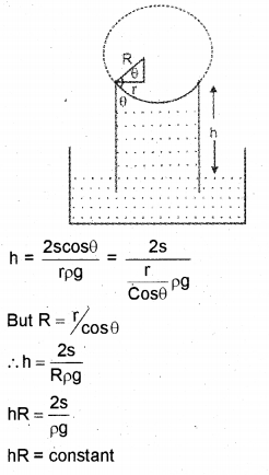 Plus One Physics Chapter Wise Previous Questions Chapter 10 Mechanical Properties of Fluids 24