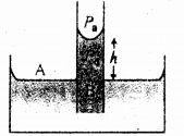 Plus One Physics Chapter Wise Previous Questions Chapter 10 Mechanical Properties of Fluids 35