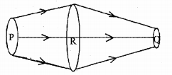 Plus One Physics Chapter Wise Previous Questions Chapter 10 Mechanical Properties of Fluids 36