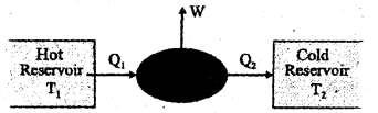 Plus One Physics Chapter Wise Previous Questions Chapter 12 Thermodynamics 13