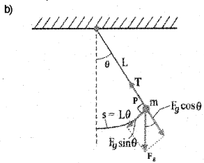 Plus One Physics Chapter Wise Previous Questions Chapter 14 Oscillations 11