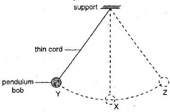 Plus One Physics Chapter Wise Previous Questions Chapter 14 Oscillations 15