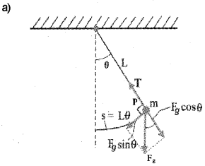 Plus One Physics Chapter Wise Previous Questions Chapter 14 Oscillations 19