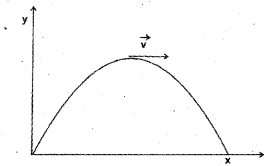 Plus One Physics Chapter Wise Previous Questions Chapter 4 Motion in a Plane 19