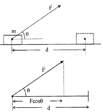 Plus One Physics Chapter Wise Previous Questions Chapter 6 Work, Energy and Power 12