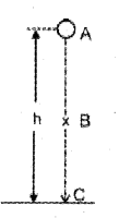 Plus One Physics Chapter Wise Previous Questions Chapter 6 Work, Energy and Power 21