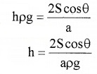 Plus One Physics Chapter Wise Questions and Answers Chapter 10 Mechanical Properties of Fluids 5M Q1.3