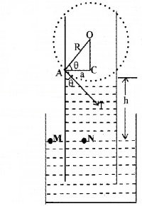 Plus One Physics Chapter Wise Questions and Answers Chapter 10 Mechanical Properties of Fluids 5M Q1