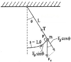 Plus One Physics Chapter Wise Questions and Answers Chapter 14 Oscillations 4M Q11