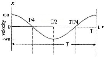 Plus One Physics Chapter Wise Questions and Answers Chapter 14 Oscillations 4M Q9.1