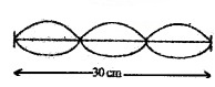 Plus One Physics Chapter Wise Questions and Answers Chapter 15 Waves 4M Q1