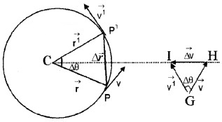 Plus One Physics Chapter Wise Questions and Answers Chapter 4 Motion in a Plane 3M Q1