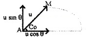 Plus One Physics Chapter Wise Questions and Answers Chapter 4 Motion in a Plane 5M Q2.1