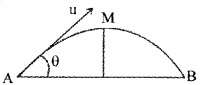 Plus One Physics Chapter Wise Questions and Answers Chapter 4 Motion in a Plane 5M Q2