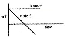 Plus One Physics Chapter Wise Questions and Answers Chapter 4 Motion in a Plane 5M Q4.1