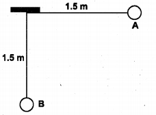 Plus One Physics Improvement Question Paper Say 2017, 8