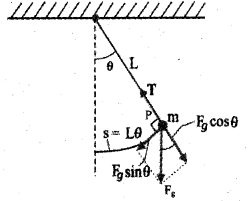 Plus One Physics Improvement Question Paper Say 2018, 16