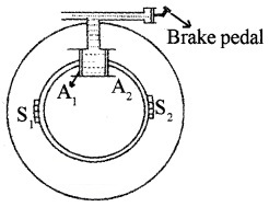 Plus One Physics Notes Chapter 10 Mechanical Properties of Fluids 10