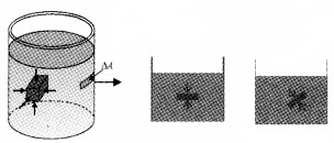 Plus One Physics Notes Chapter 10 Mechanical Properties of Fluids 2