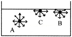 Plus One Physics Notes Chapter 10 Mechanical Properties of Fluids 32