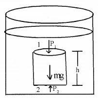 Plus One Physics Notes Chapter 10 Mechanical Properties of Fluids 4