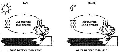 Plus One Physics Notes Chapter 11 Thermal Properties of Matter 18